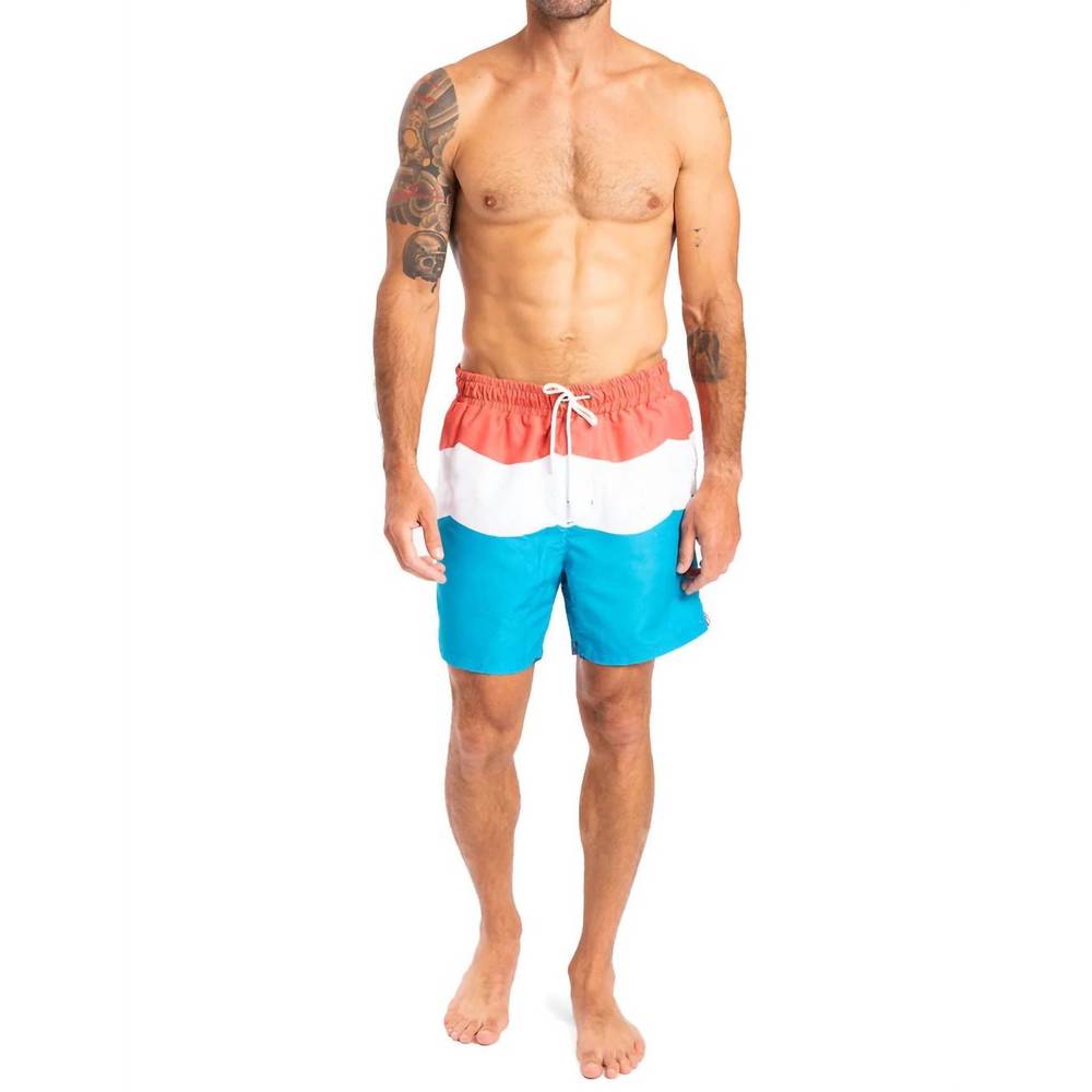 NEW SOL ANGELES men's sol flag swim short in multi